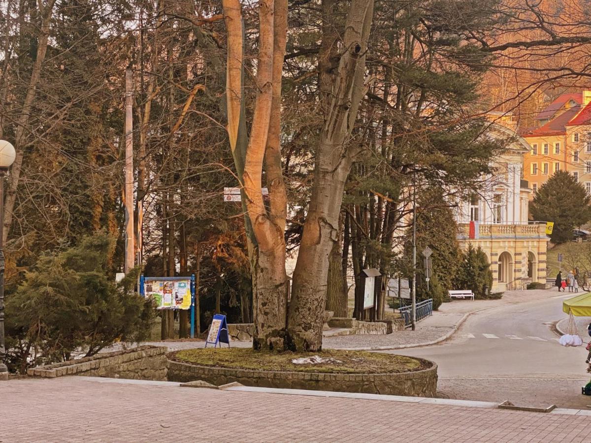 Apartament Zdroj Ladek Luaran gambar